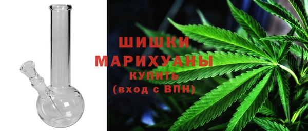 СК Волоколамск
