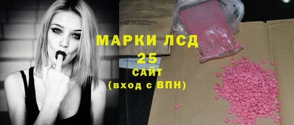 СК Волоколамск