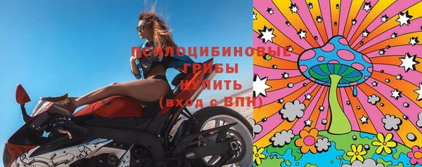 СК Волоколамск
