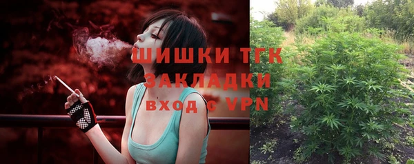 СК Волоколамск